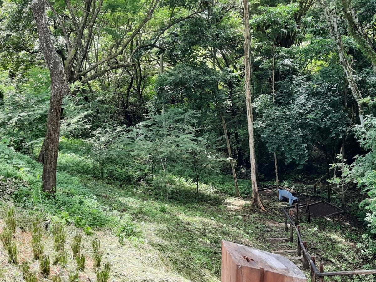 Eco-Turismo Guayacanes Sámara Kültér fotó